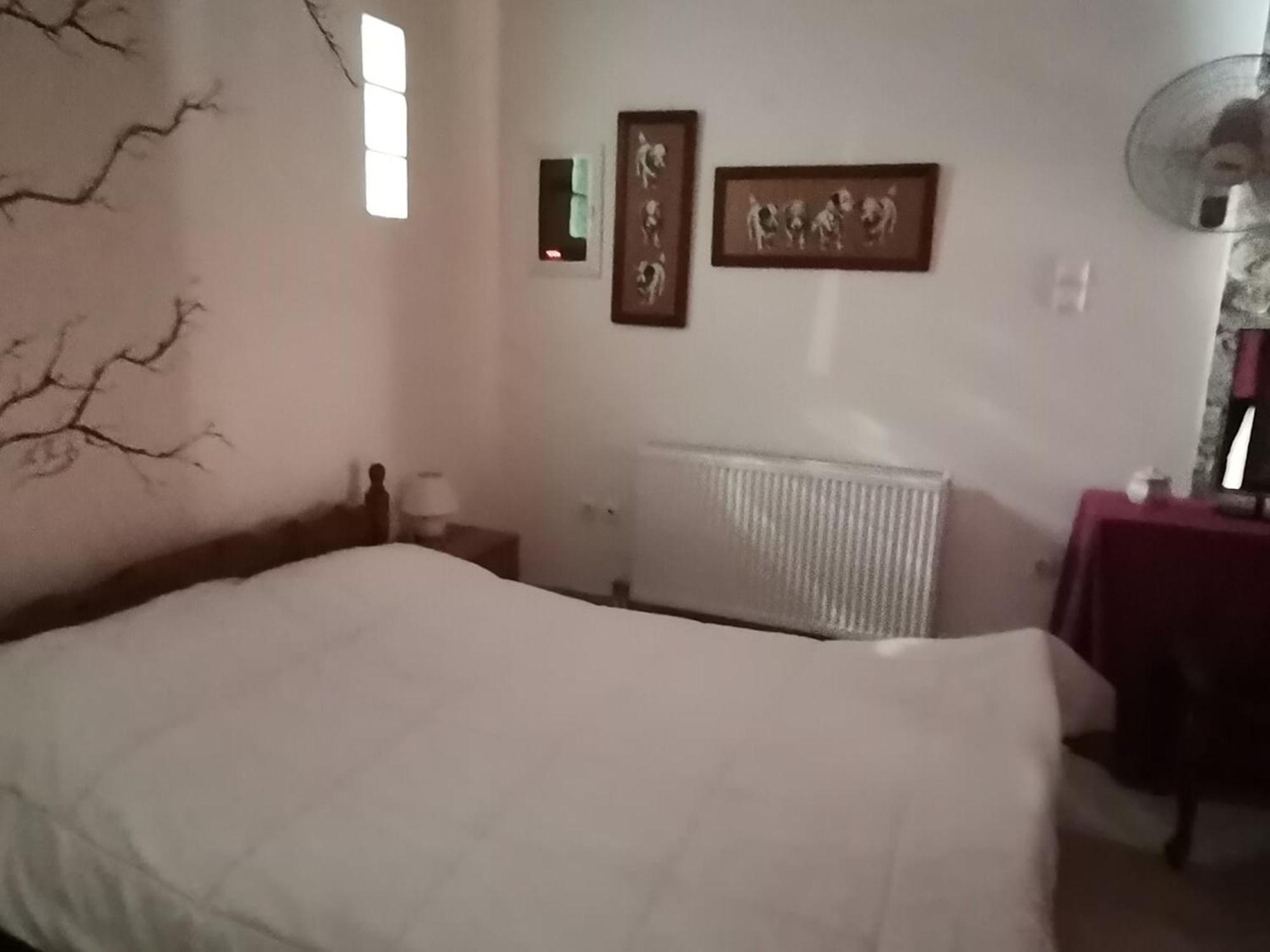 Vila Saronic Citadel Seaside With Pool And 400mbps Starlink Internet Salamís